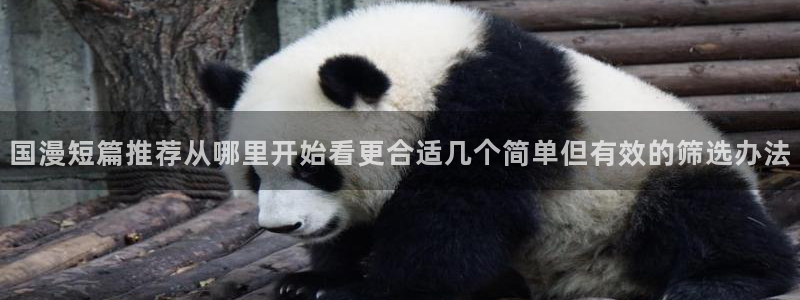 樱花日语免费视频